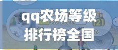 QQ农场等级排行榜，揭秘高手的养成之路