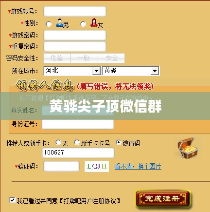 黄骅尖子顶邀请码注册指南与优势解析
