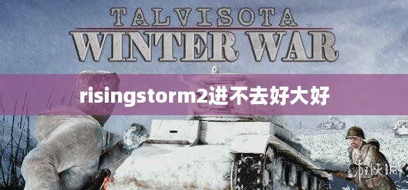 解决risingstorm2无法进入高清画面的难题，提升游戏体验