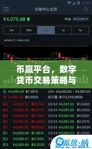 币赢平台，数字货币交易策略与盈利技巧解析
