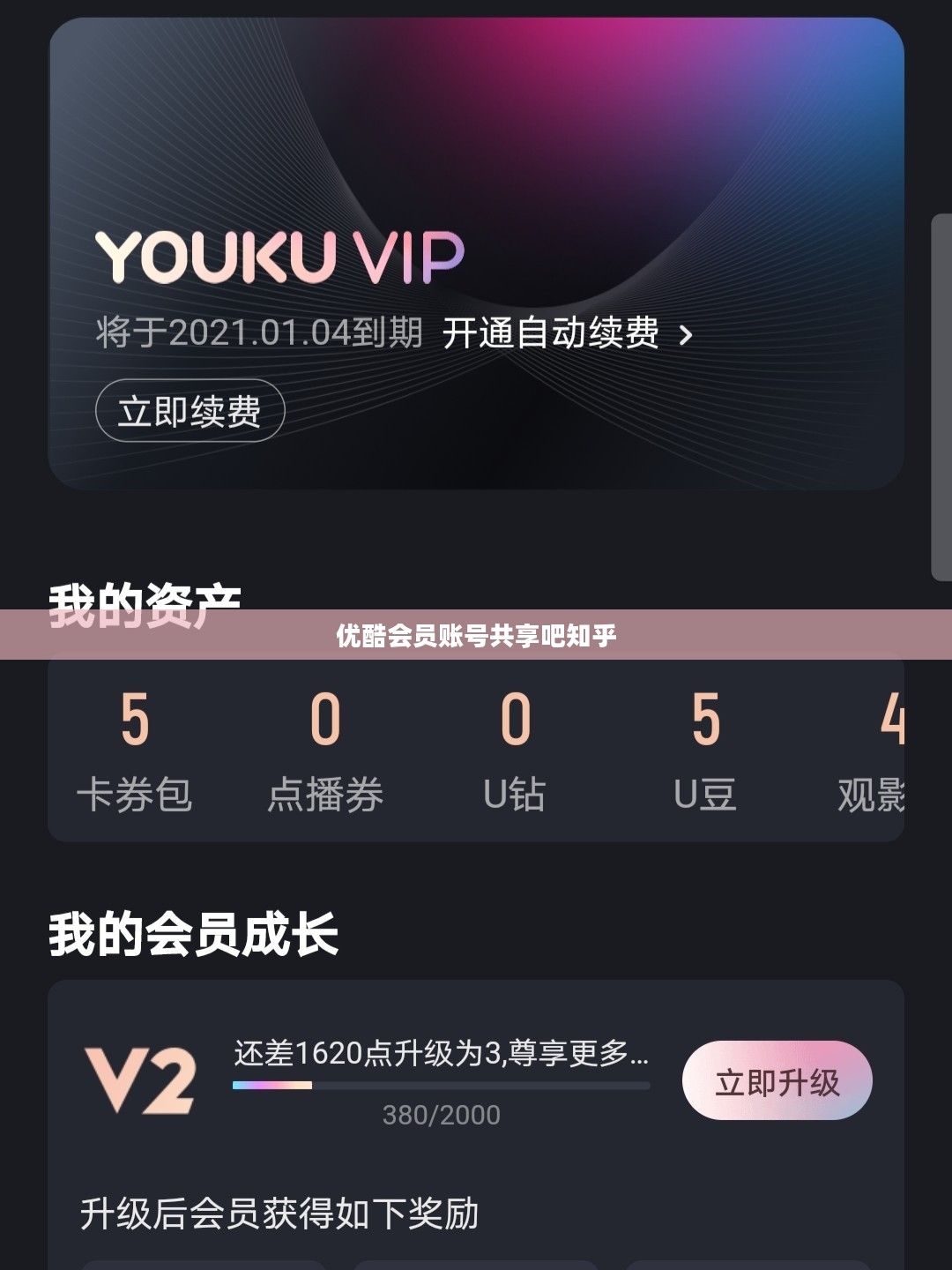 优酷会员账号共享：合法性与安全策略解析