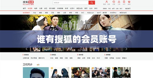 搜狐会员账号共享安全性分析与操作指南