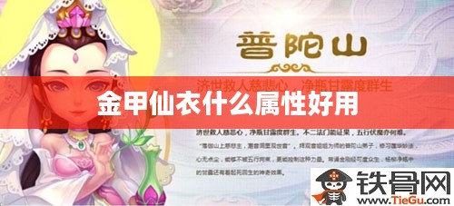 金甲仙衣属性选择与优化指南