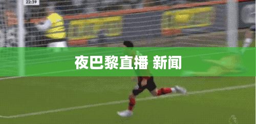 夜巴黎直播：时尚与艺术的数字融合之旅