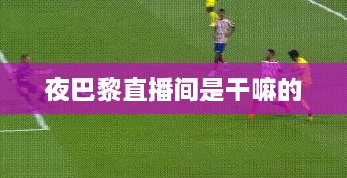 夜巴黎直播：时尚与艺术的数字融合之旅