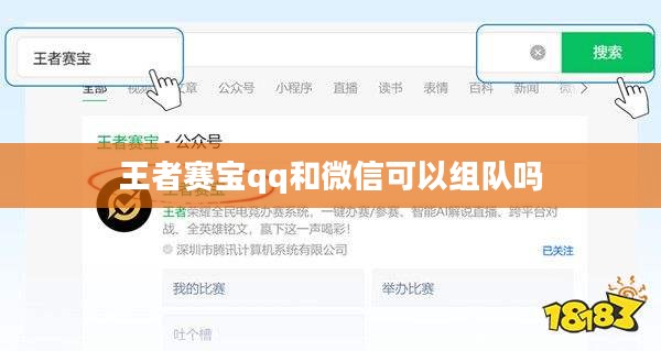 王者赛宝应用解析与用户优势分析
