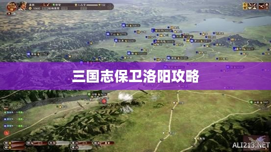 三国志保卫洛阳策略详解，实现高效率共虐攻略