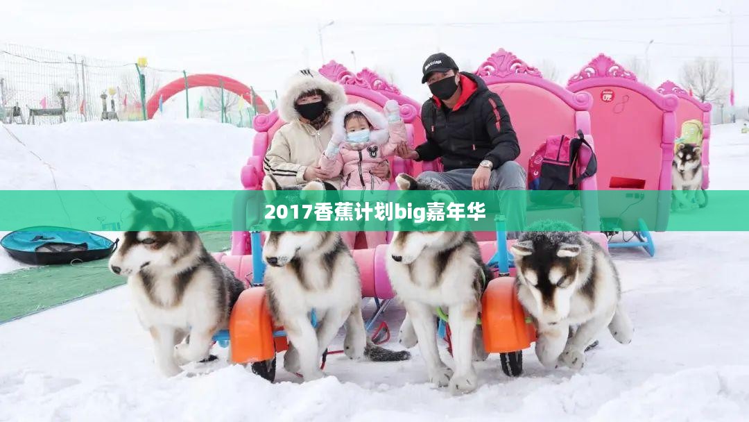 香蕉计划big嘉年华：音乐与创意的盛宴解析