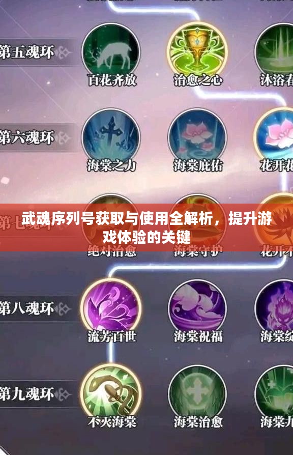 武魂序列号获取与使用全解析，提升游戏体验的关键