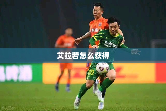 艾拉若品牌SEO关键词优化策略与实践