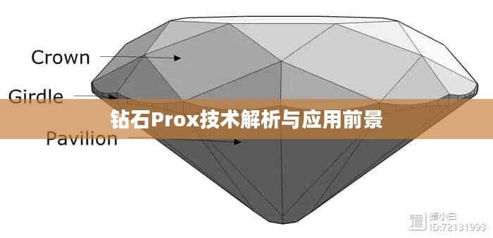 钻石Prox技术解析与应用前景