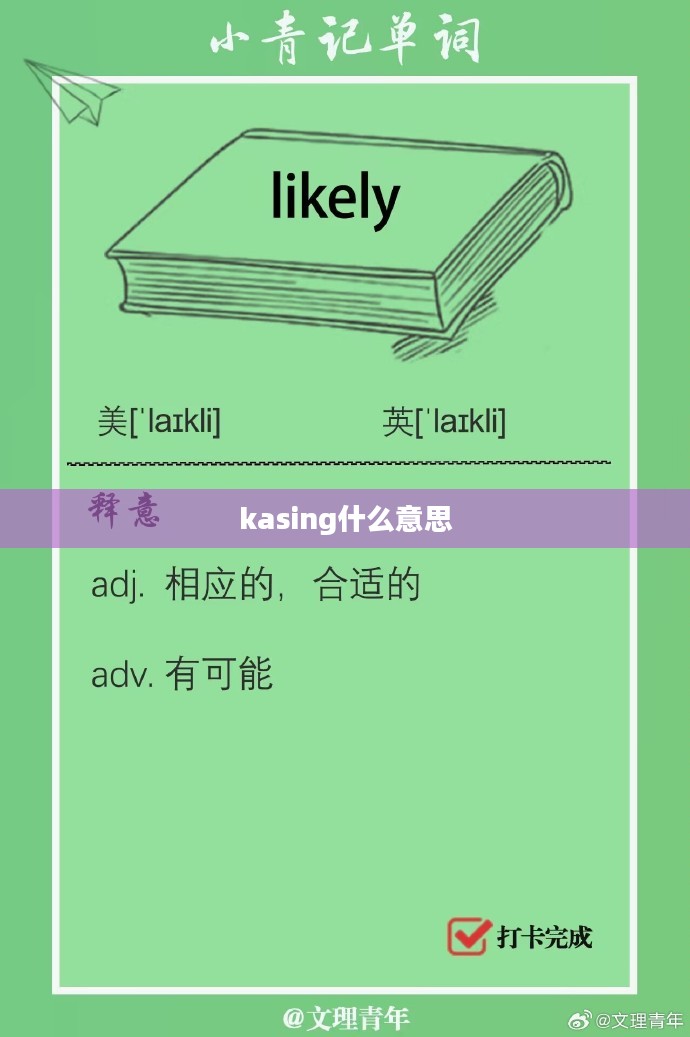 Kasing品牌产品特性与市场定位深度分析