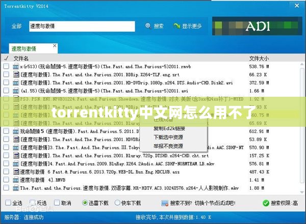 torrentkitty中文网使用指南与安全分析