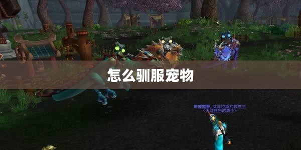 高效驯服宠物技巧与方法解析