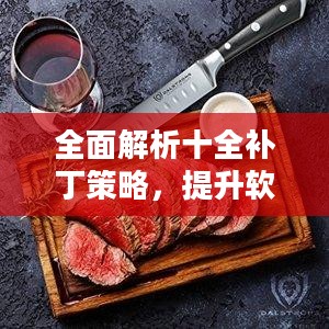 全面解析十全补丁策略，提升软件安全性与稳定性