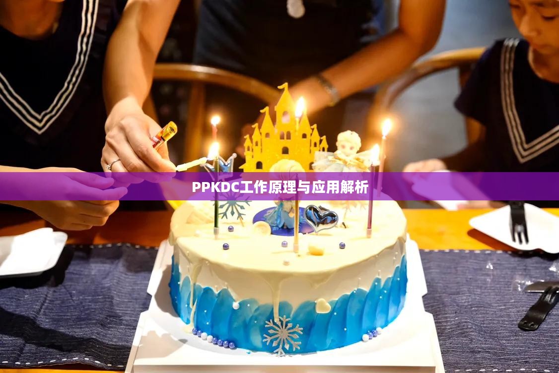 PPKDC工作原理与应用解析 PPKDC工作原理与应用解析
