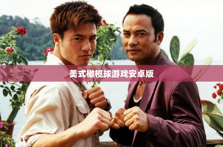 探秘美式橄榄球游戏：规则、装备与文化影响