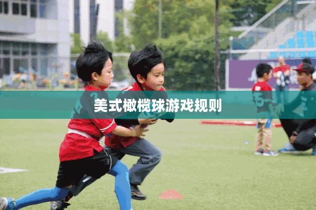 探秘美式橄榄球游戏：规则、装备与文化影响