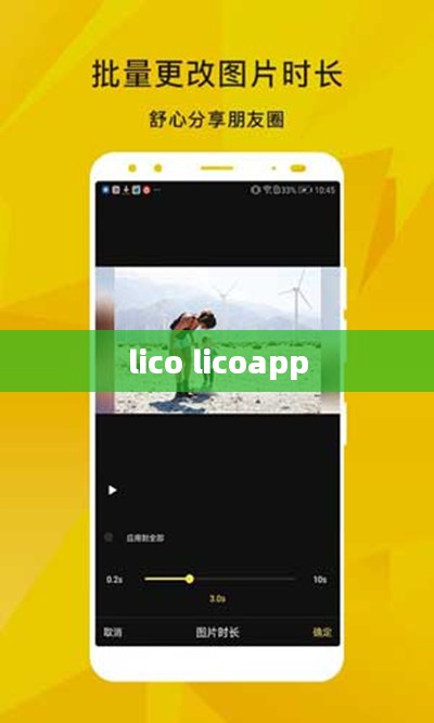 lico视频平台内容创作与运营策略解析