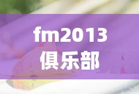 fm2013转会补丁安装与使用指南，提升游戏真实感
