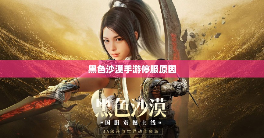 黑色沙漠手游深度解析：特色玩法与职业选择指南