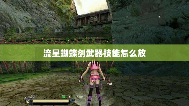 流星蝴蝶剑卡武器技巧全解析：提升战斗效率的秘诀