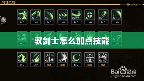 驭剑士加点策略与技能平衡指南