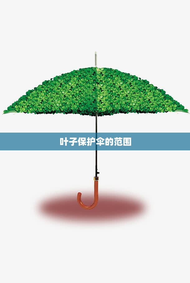 叶子保护伞：重要作用与应用场景深度解析