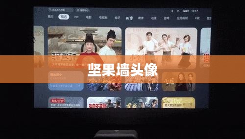 坚果墙特性与应用解析，打造环保时尚家居新选择