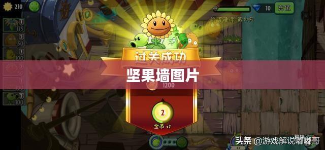 坚果墙特性与应用解析，打造环保时尚家居新选择
