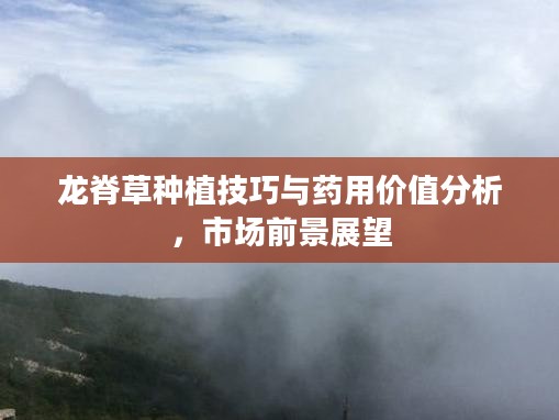 龙脊草种植技巧与药用价值分析，市场前景展望