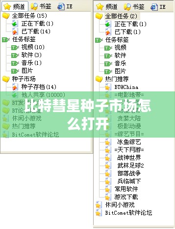 比特彗星种子市场深度解析与高效利用策略