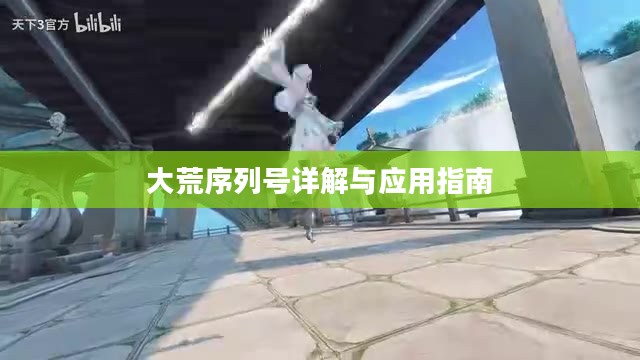 大荒序列号详解与应用指南
