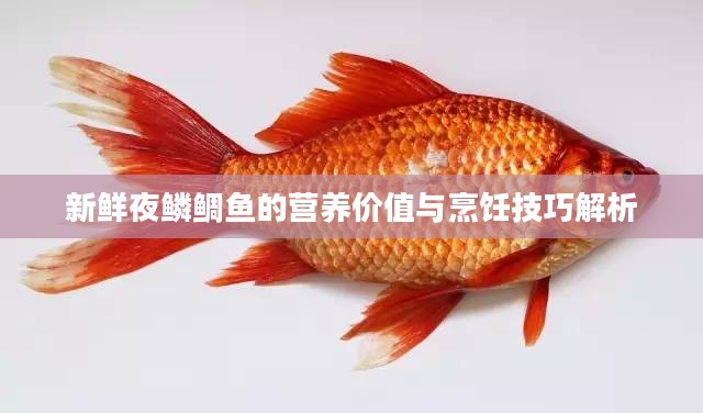 新鲜夜鳞鲷鱼的营养价值与烹饪技巧解析
