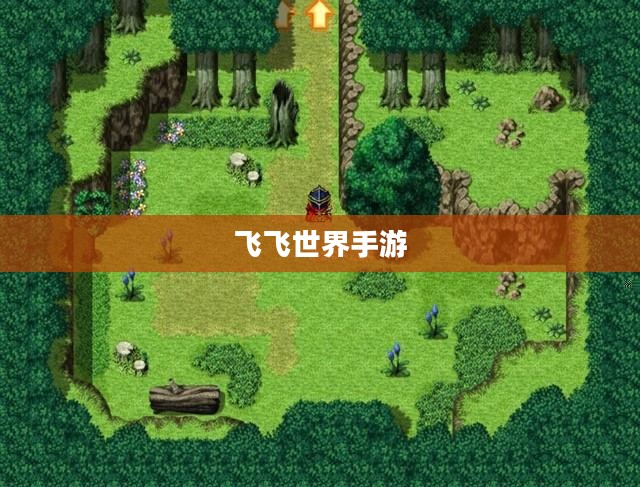 飞飞世界私服