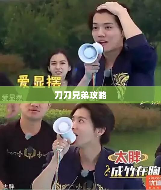 刀刀兄弟：互联网文化的现象级代表及其影响解析
