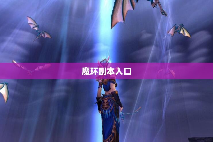 魔环入口：高效连接与安全性的完美结合