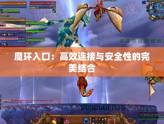 魔环入口：高效连接与安全性的完美结合
