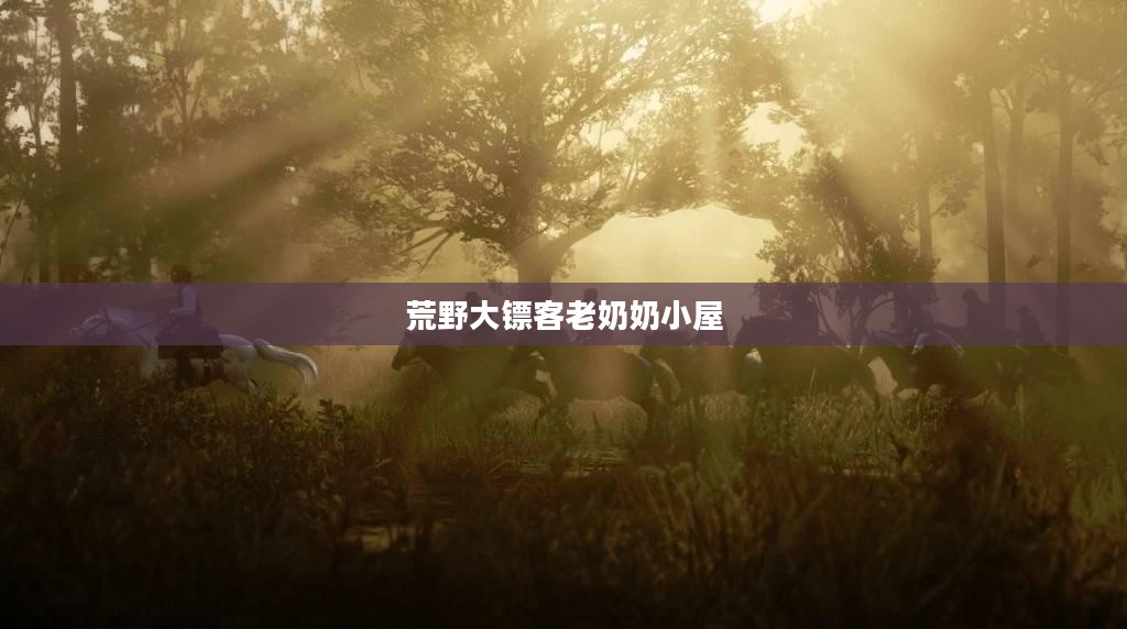 荒野大镖客中的老奶奶角色深度解析