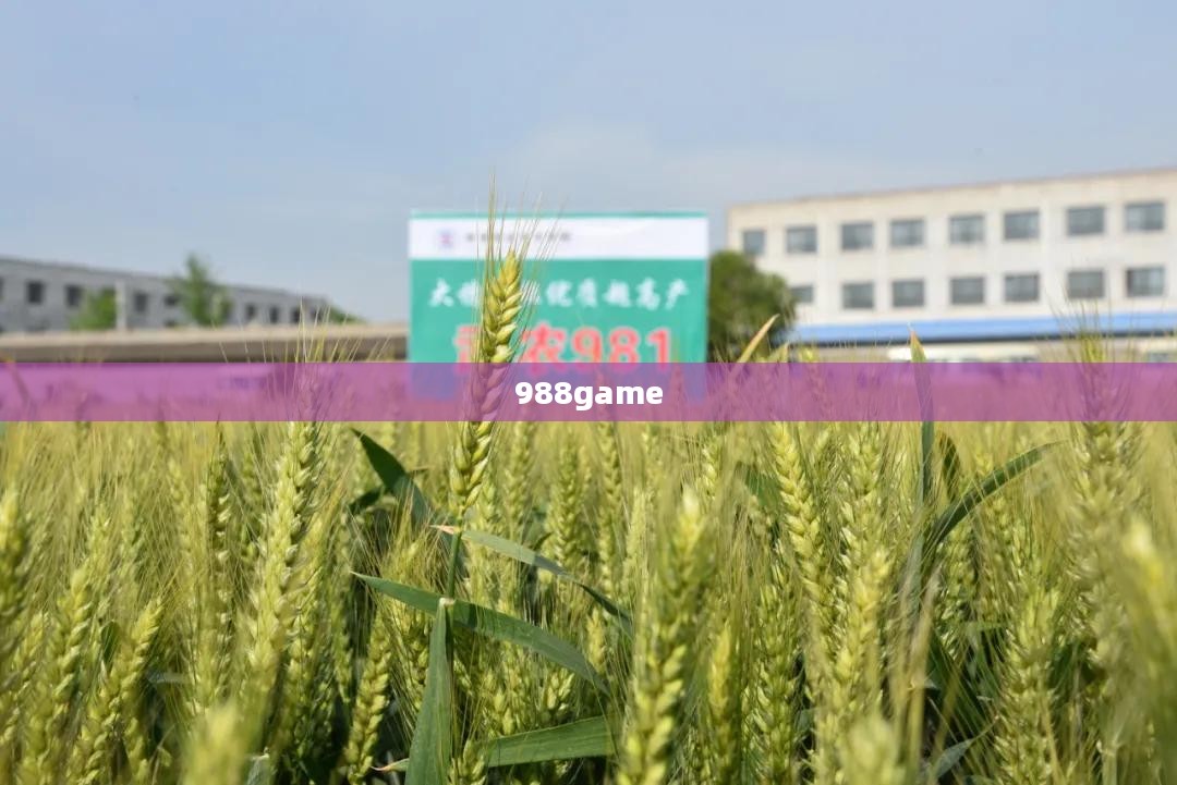 988游戏中心，打造极致游戏体验的全方位平台