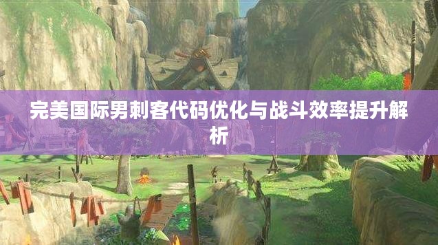 完美国际男刺客代码优化与战斗效率提升解析