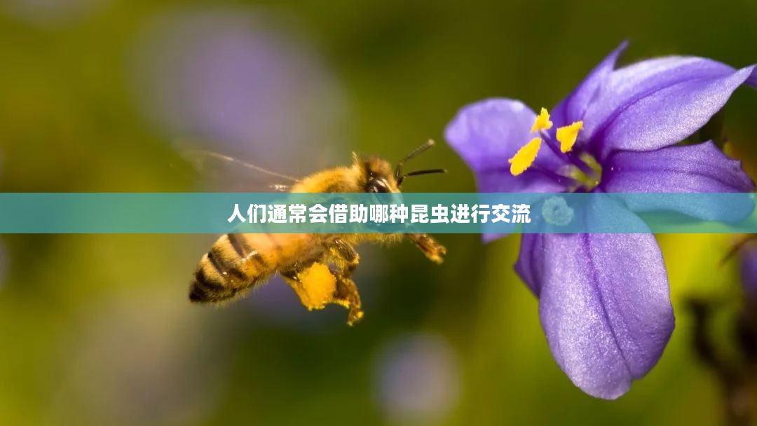 借助昆虫的多种用途与效益解析