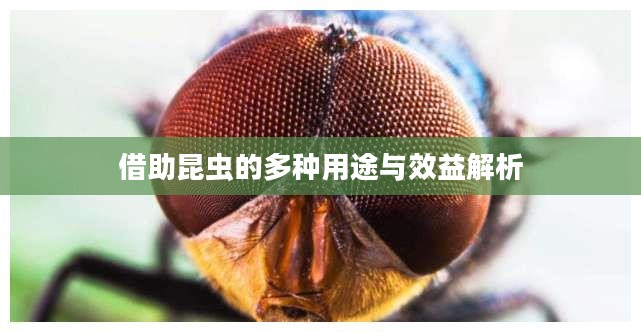 借助昆虫的多种用途与效益解析
