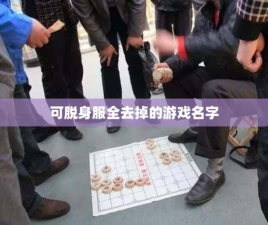 深入解析可插可脱身服全去掉的养成游戏魅力与特点