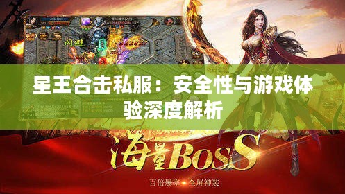 星王合击私服：安全性与游戏体验深度解析