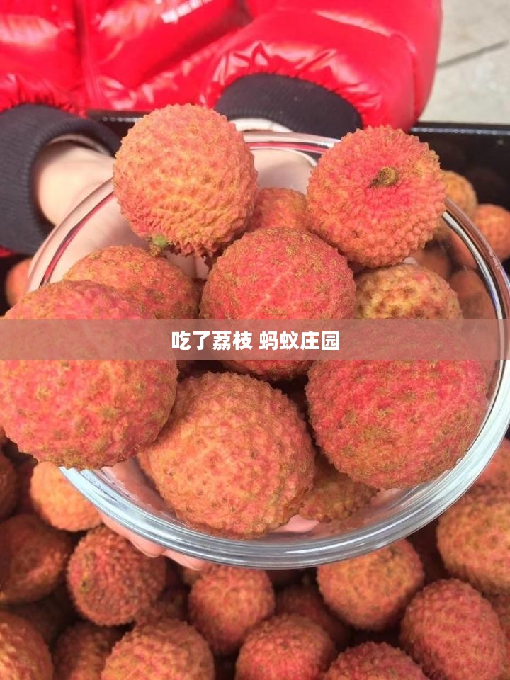 荔枝蚂蚁庄园：生态农业与经济效益的双赢之道