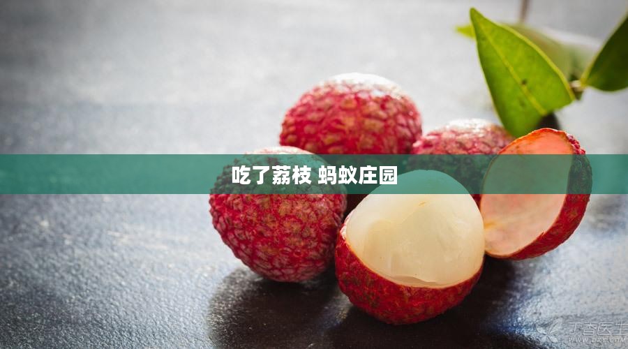 荔枝蚂蚁庄园：生态农业与经济效益的双赢之道