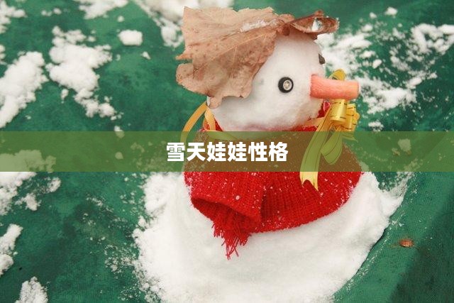 雪天娃娃制作与玩法攻略，让冬日乐趣无限
