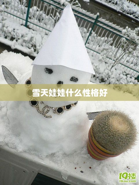 雪天娃娃制作与玩法攻略，让冬日乐趣无限