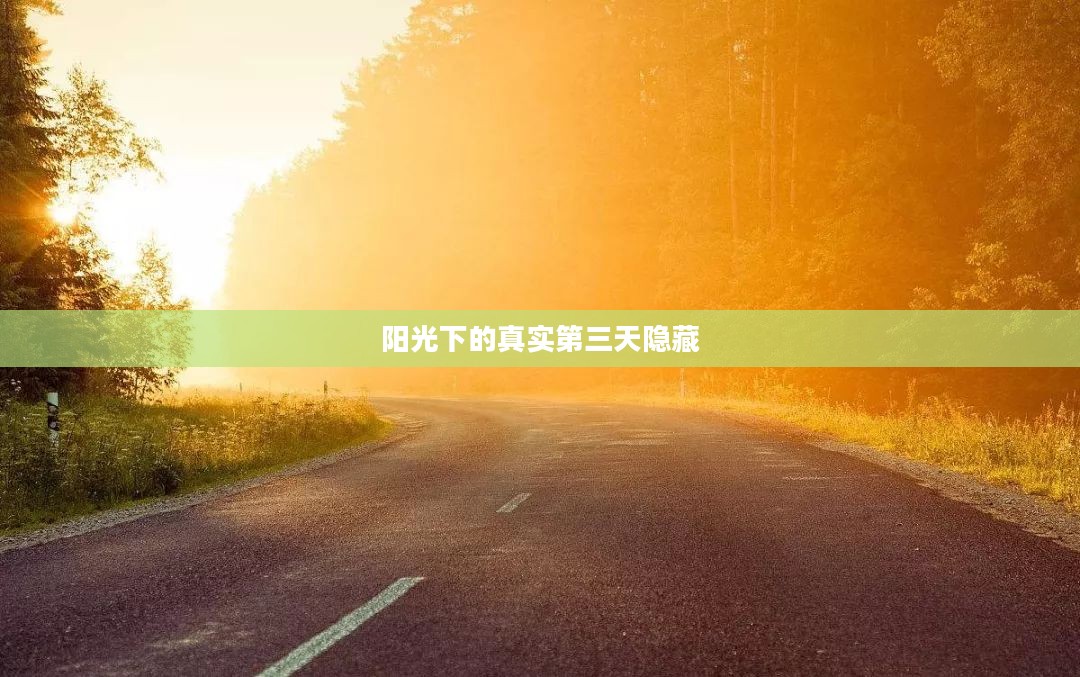 阳光下的真实第三天：揭露事实背后的秘密